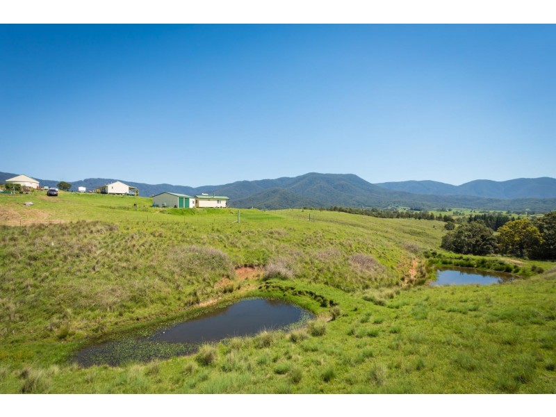 3537 Snowy Mtns Hwy, Bemboka NSW 2550