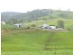 1439 Buckajo Rd, Buckajo NSW 2550
