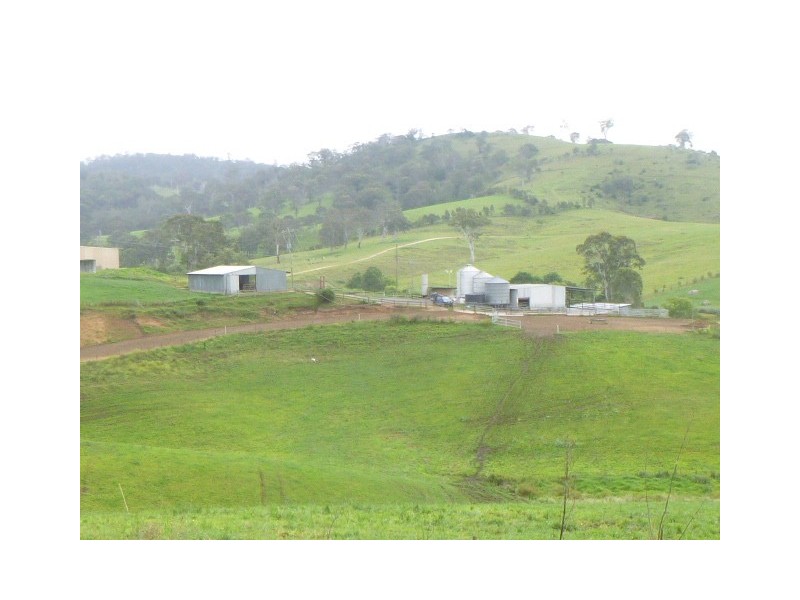 1439 Buckajo Rd, Buckajo NSW 2550