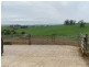 1439 Buckajo Rd, Buckajo NSW 2550