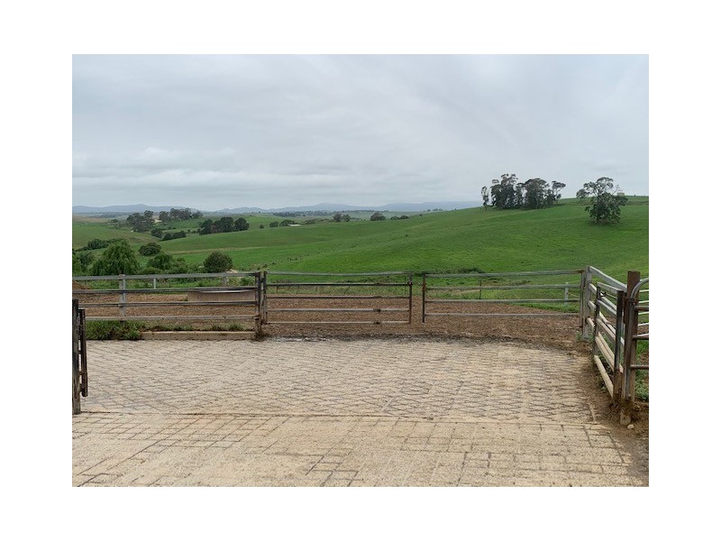 1439 Buckajo Rd, Buckajo NSW 2550