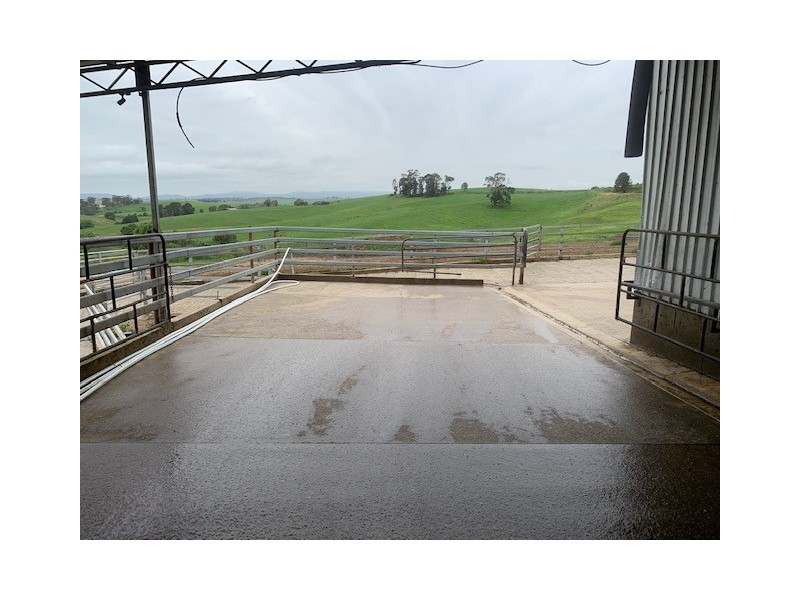 1439 Buckajo Rd, Buckajo NSW 2550