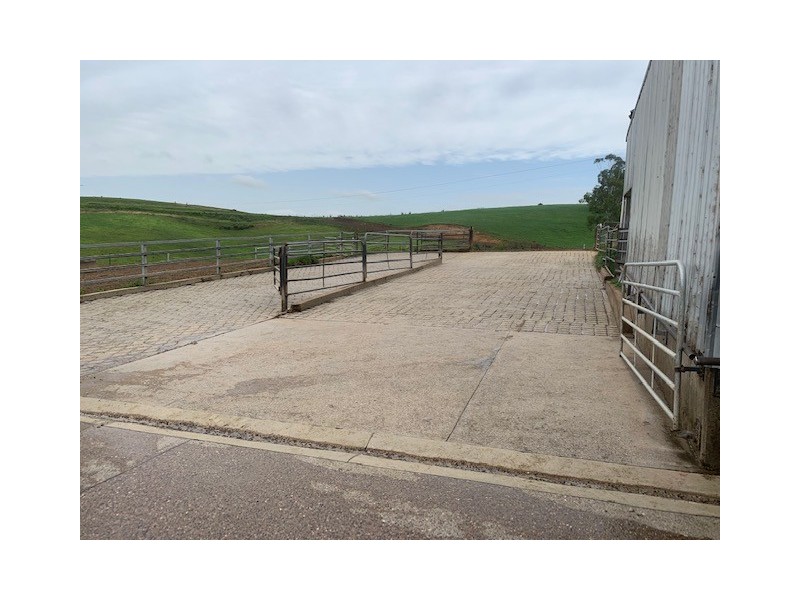 1439 Buckajo Rd, Buckajo NSW 2550