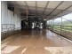 1439 Buckajo Rd, Buckajo NSW 2550