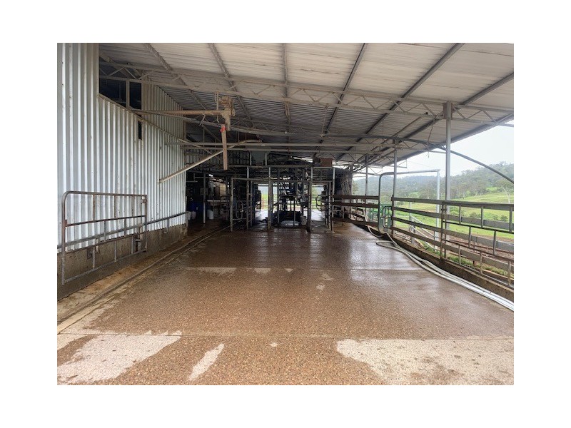 1439 Buckajo Rd, Buckajo NSW 2550