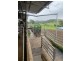 1439 Buckajo Rd, Buckajo NSW 2550