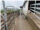 1439 Buckajo Rd, Buckajo NSW 2550