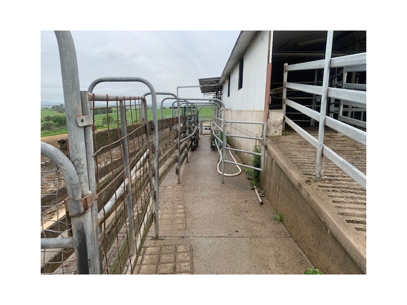 1439 Buckajo Rd, Buckajo NSW 2550