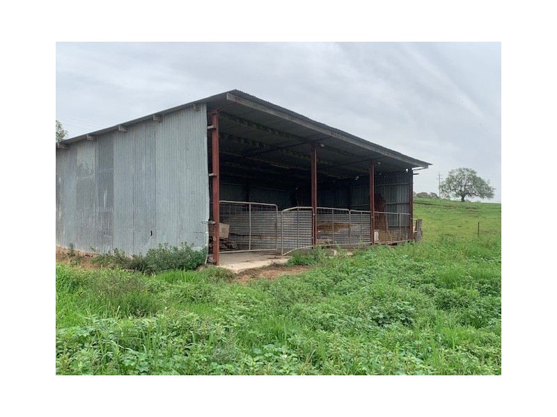1439 Buckajo Rd, Buckajo NSW 2550