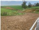 1439 Buckajo Rd, Buckajo NSW 2550