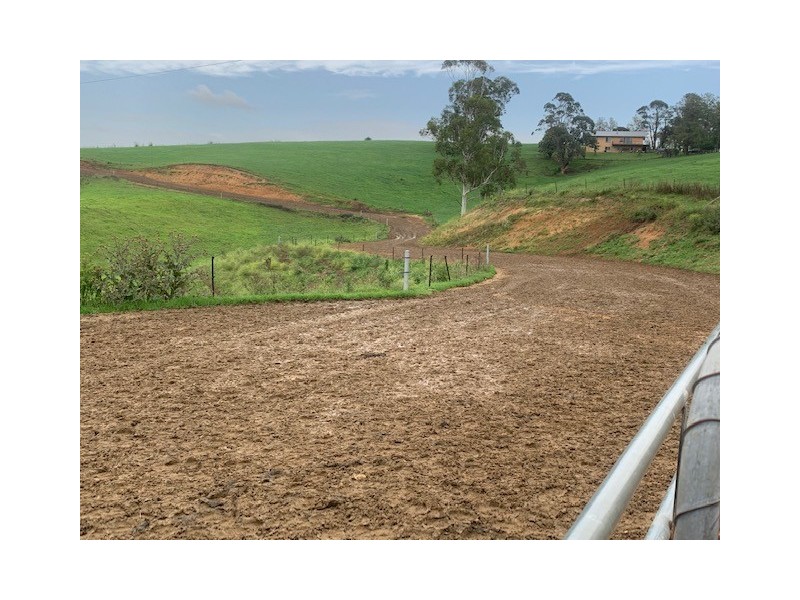 1439 Buckajo Rd, Buckajo NSW 2550