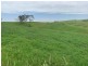1439 Buckajo Rd, Buckajo NSW 2550
