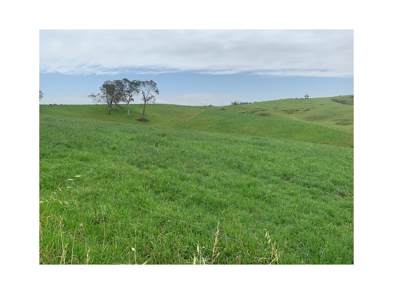 1439 Buckajo Rd, Buckajo NSW 2550