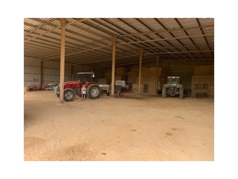 1439 Buckajo Rd, Buckajo NSW 2550