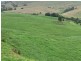 1439 Buckajo Rd, Buckajo NSW 2550