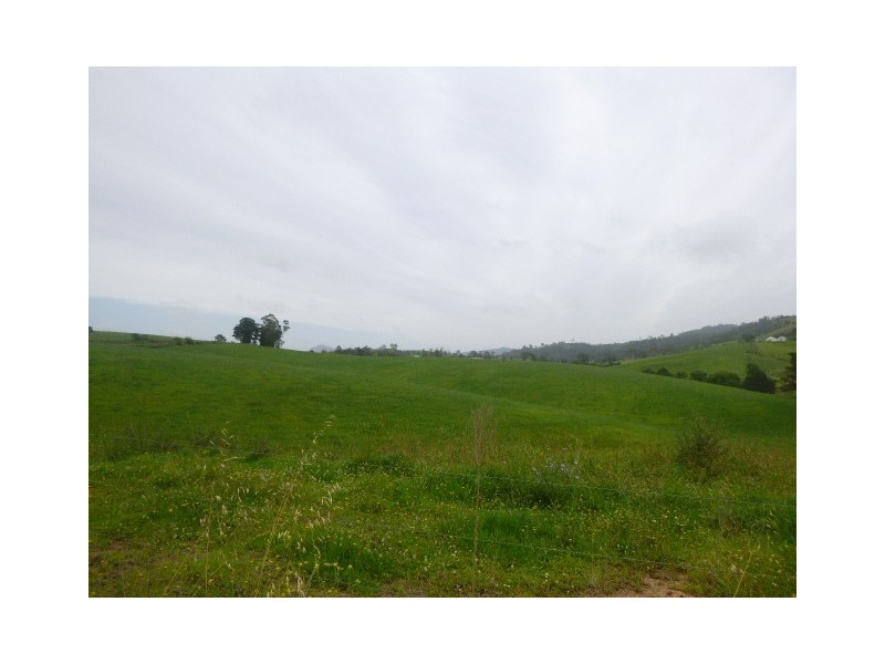 1439 Buckajo Rd, Buckajo NSW 2550