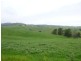 1439 Buckajo Rd, Buckajo NSW 2550