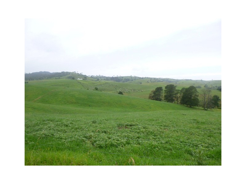 1439 Buckajo Rd, Buckajo NSW 2550