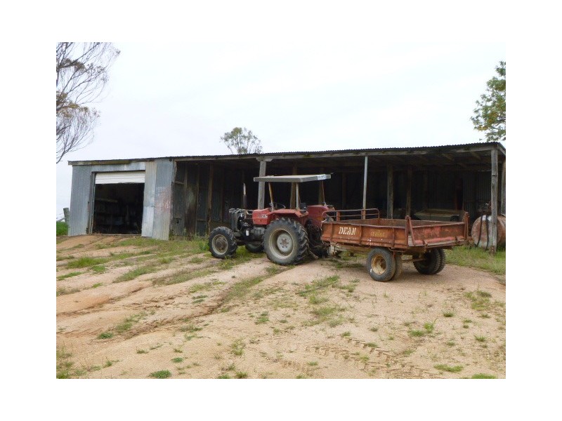 1439 Buckajo Rd, Buckajo NSW 2550