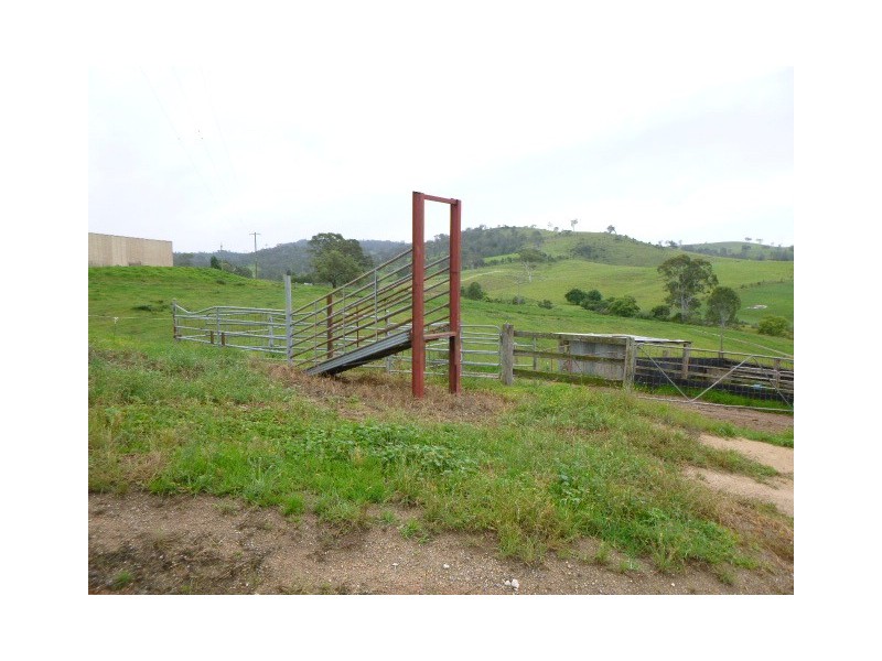 1439 Buckajo Rd, Buckajo NSW 2550