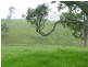 Lot 2 West Kameruka Rd, Candelo NSW 2550