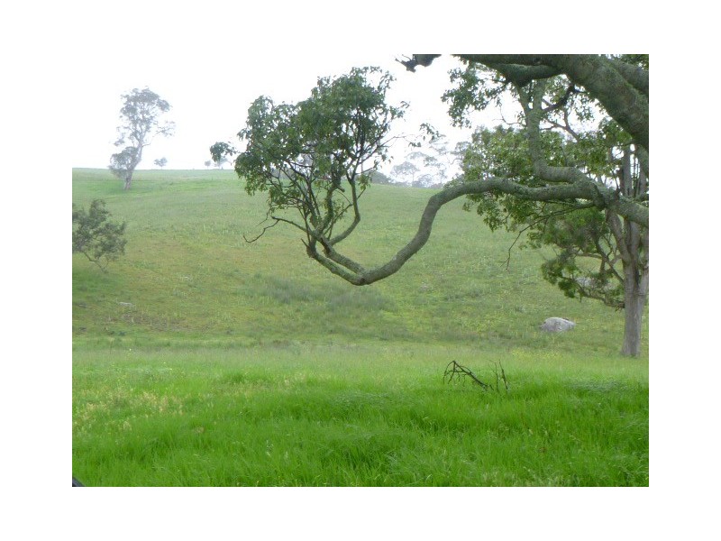 Lot 2 West Kameruka Rd, Candelo NSW 2550