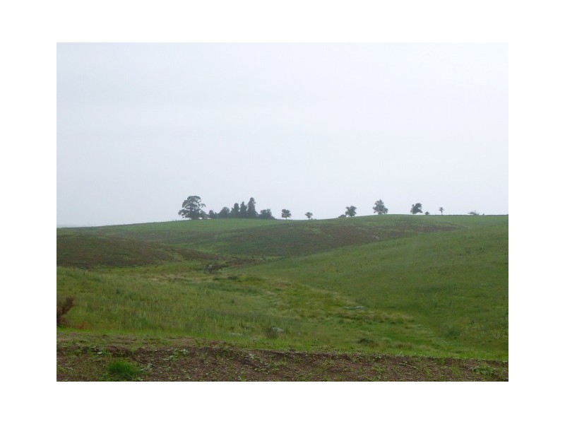 Lot 4 West Kameruka Rd, Candelo NSW 2550