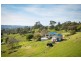 42 Mount Pleasant Rd, Coopers Gully NSW 2550