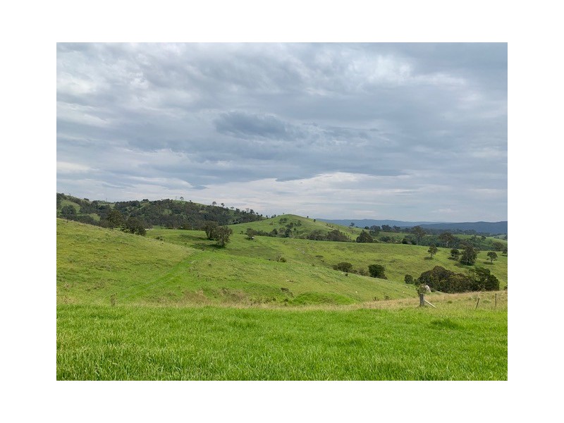 631 Snowy Mtns Hwy, Numbugga NSW 2550