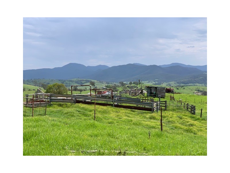 631 Snowy Mtns Hwy, Numbugga NSW 2550