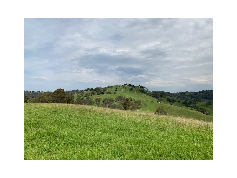 631 Snowy Mtns Hwy, Numbugga NSW 2550