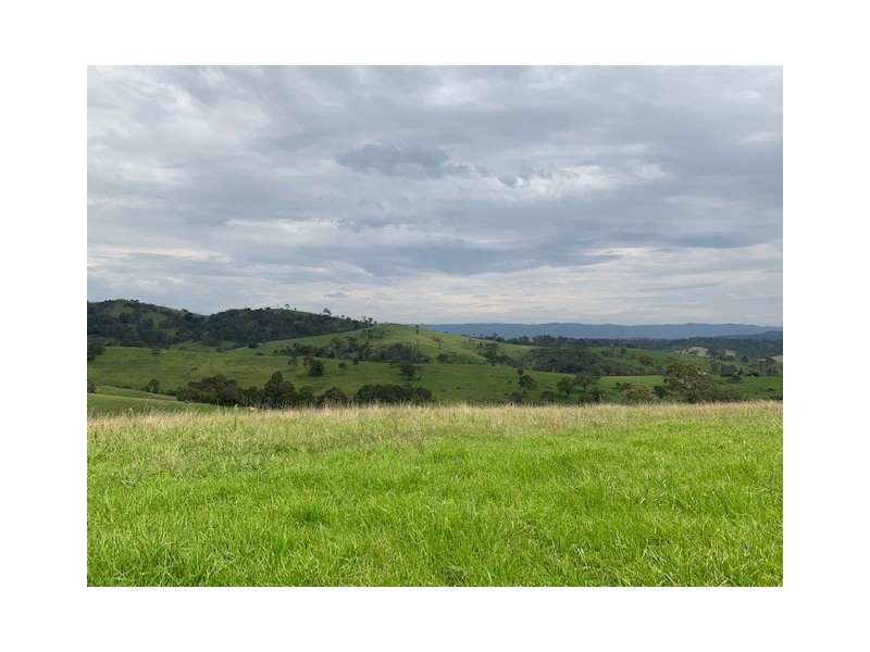 631 Snowy Mtns Hwy, Numbugga NSW 2550