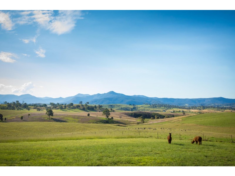 157 Niagara Lane, Tantawangalo NSW 2550