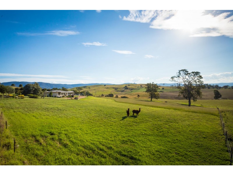 157 Niagara Lane, Tantawangalo NSW 2550