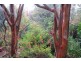 6 Bega St, Bega NSW 2550