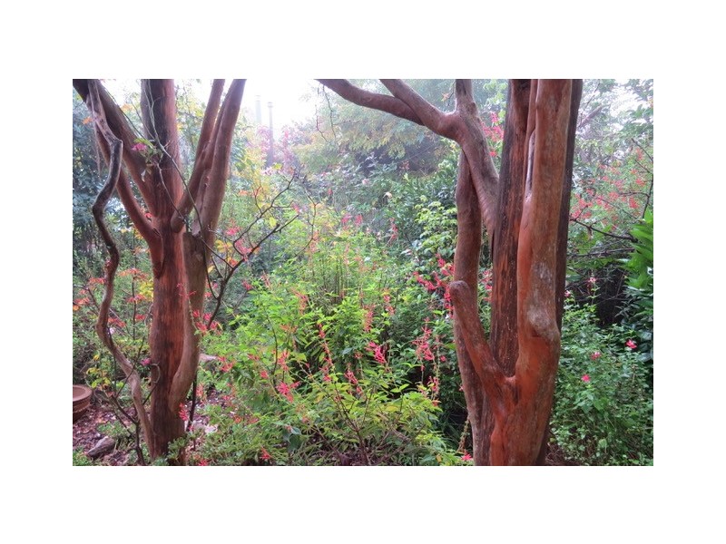 6 Bega St, Bega NSW 2550
