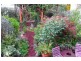 6 Bega St, Bega NSW 2550