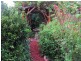 6 Bega St, Bega NSW 2550