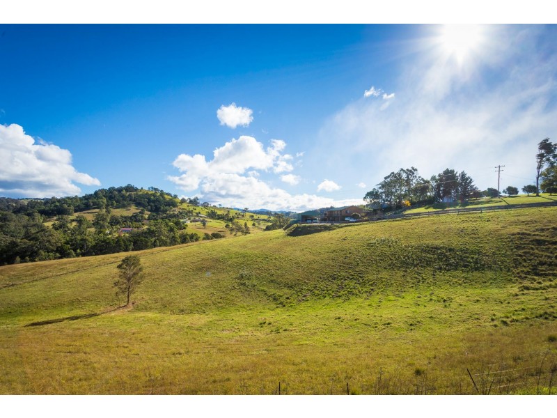 24 Cloverdale Lane, Coopers Gully NSW 2550