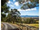 228 Rolfe Graham Rd, Mogilla NSW 2550