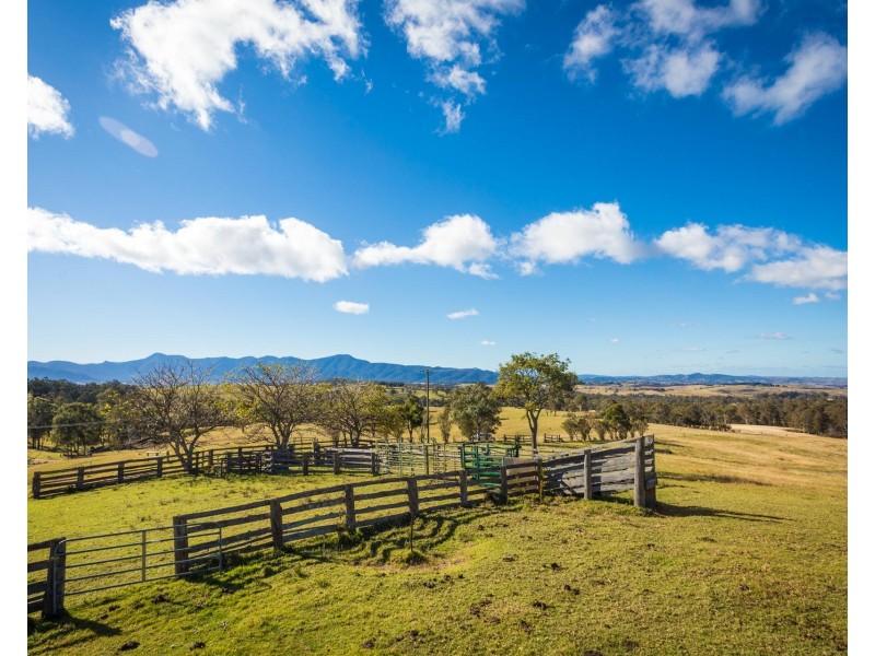 228 Rolfe Graham Rd, Mogilla NSW 2550