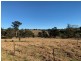 796 Angledale Rd, Angledale NSW 2550