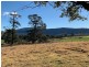 796 Angledale Rd, Angledale NSW 2550