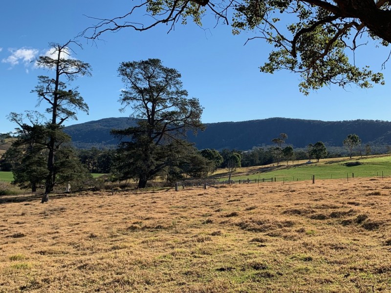 796 Angledale Rd, Angledale NSW 2550