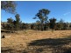796 Angledale Rd, Angledale NSW 2550