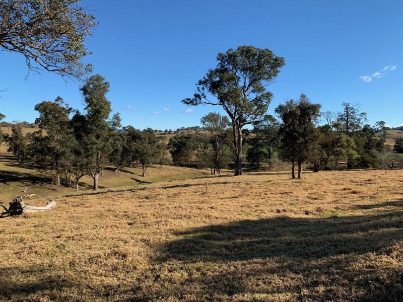 796 Angledale Rd, Angledale NSW 2550