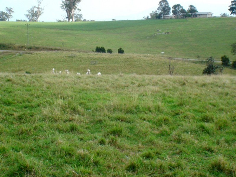 Lot 1 Narrawa Place, Bega NSW 2550