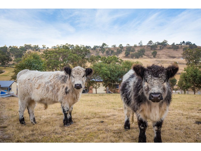 74 Max Slater Drive, Bega NSW 2550