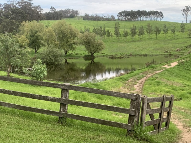 3219 Towamba Rd, Bega NSW 2550