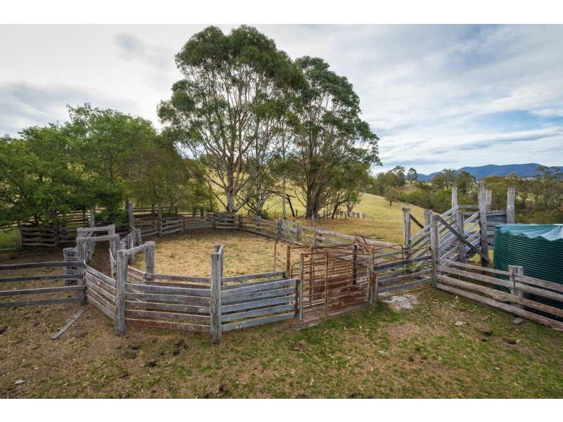 3219 Towamba Rd, Bega NSW 2550